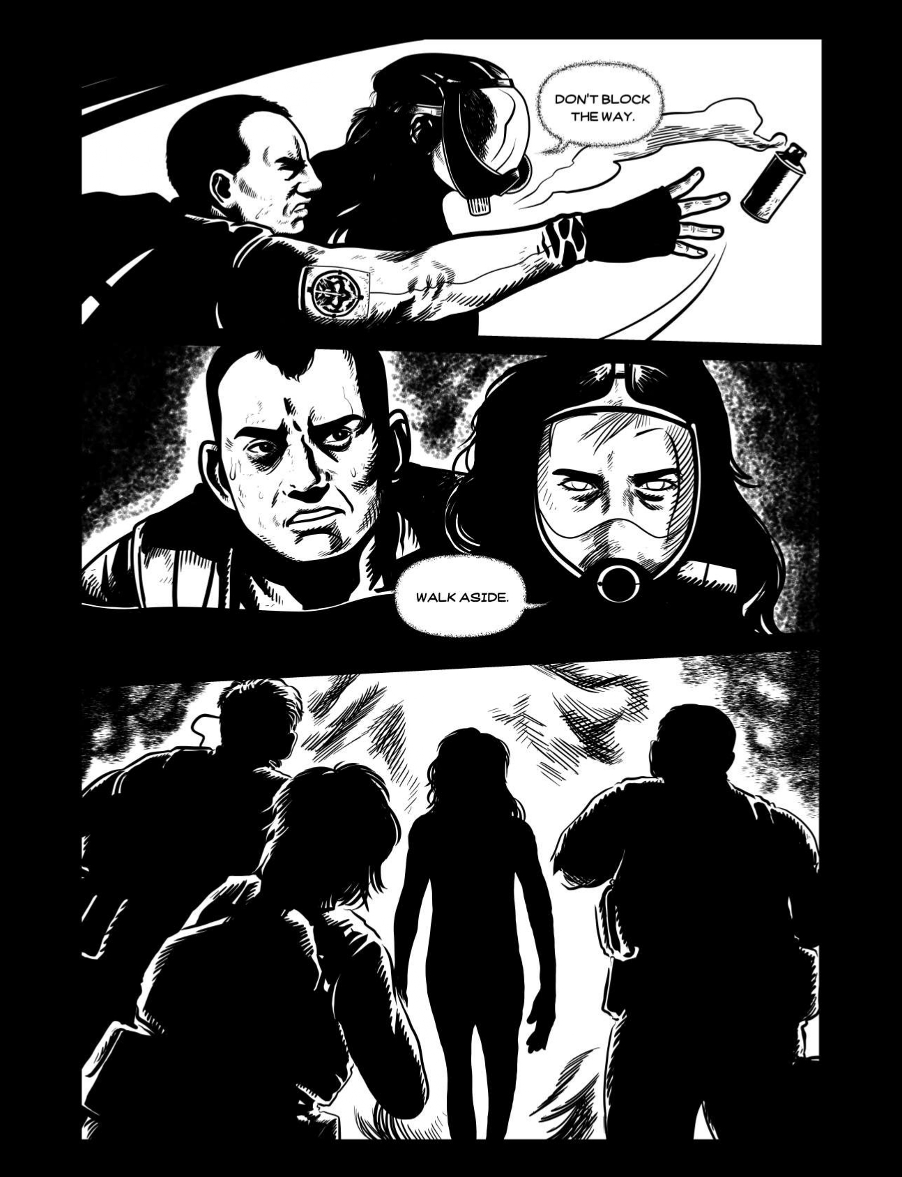 Description of Image 25