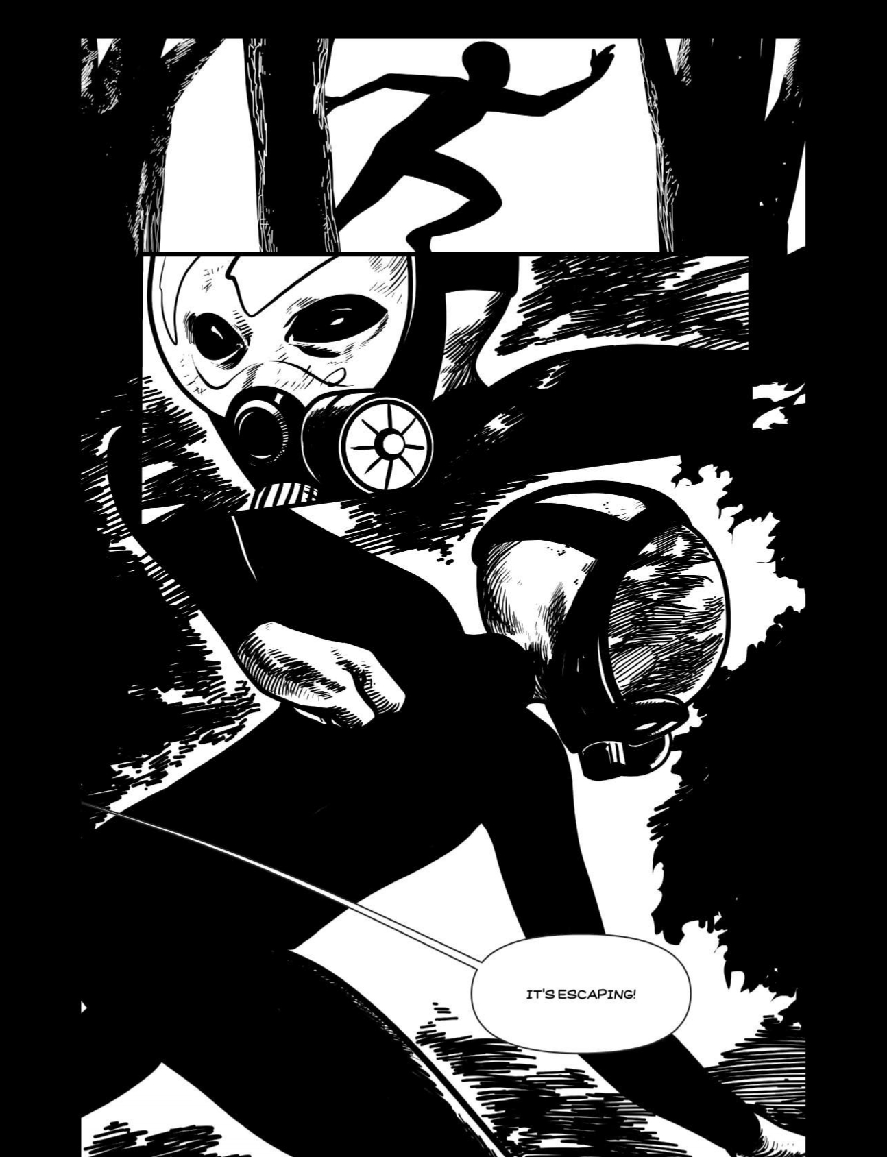 Description of Image 12