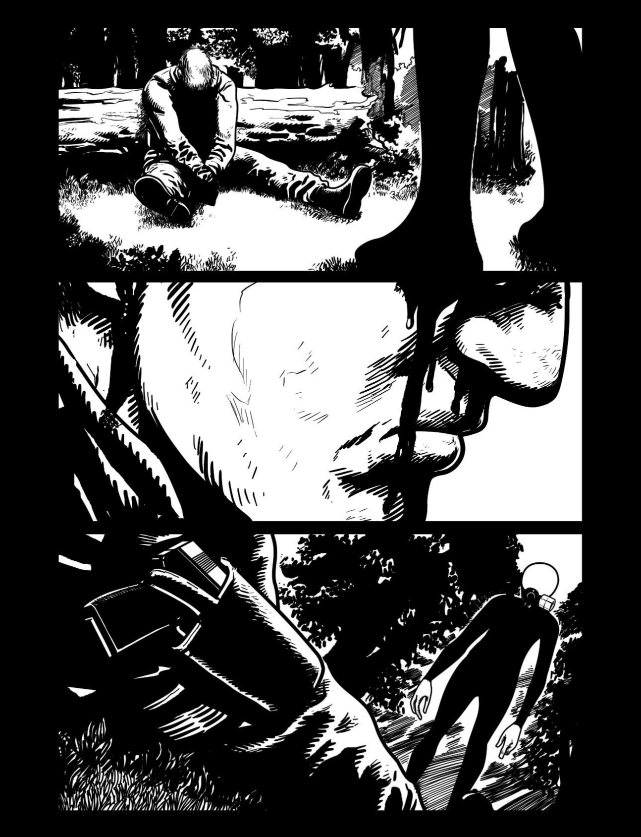 Description of Image 16